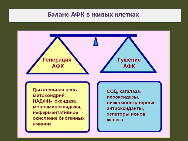 Баланс АФК в живых клетках